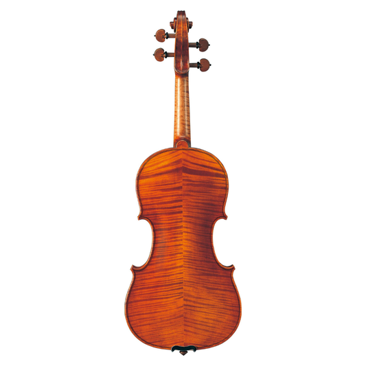 Yamaha V20SG Acoustic Violin Set