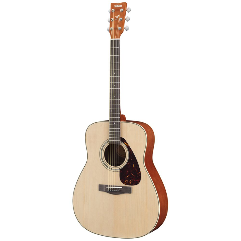 Acoustic Guitars