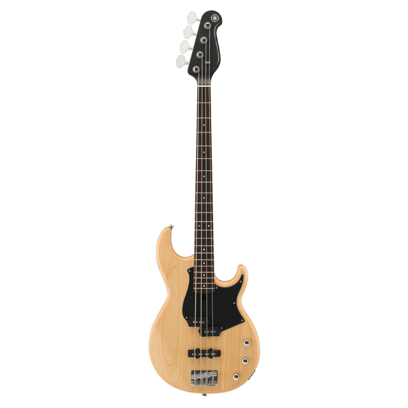 Bass Guitars