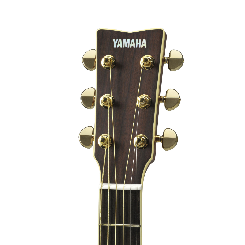 Yamaha LL6 headstock front, showing the rosewood veneer, cream binding and gold TM29G tuners