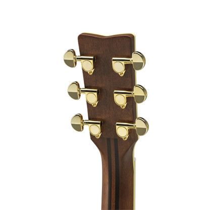 Rear of the Yamaha LL6 headstock, showing the 5-ply mahogany and rosewood neck laminations