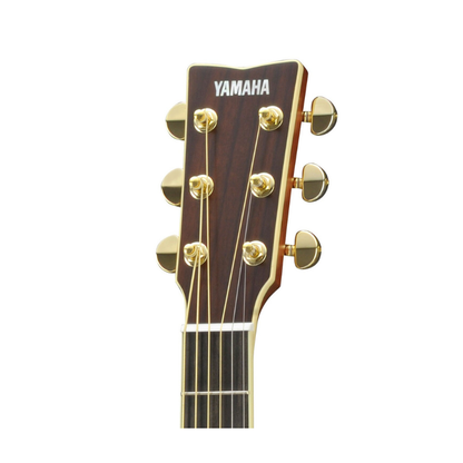 Yamaha LS16 ARE headstock front, showing the rosewood veneer, gold TM29G tuners and ebony fingerboard