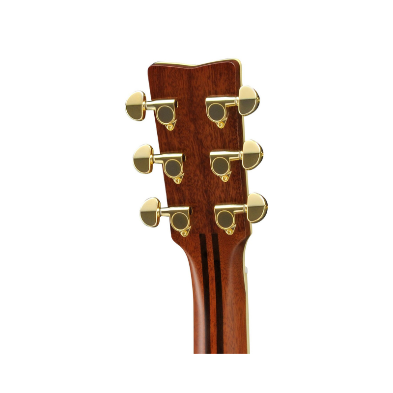 Rear of the Yamaha LS16 ARE headstock, showing the 5-ply mahogany and rosewood neck laminations and volute