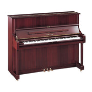 Polished Mahogany